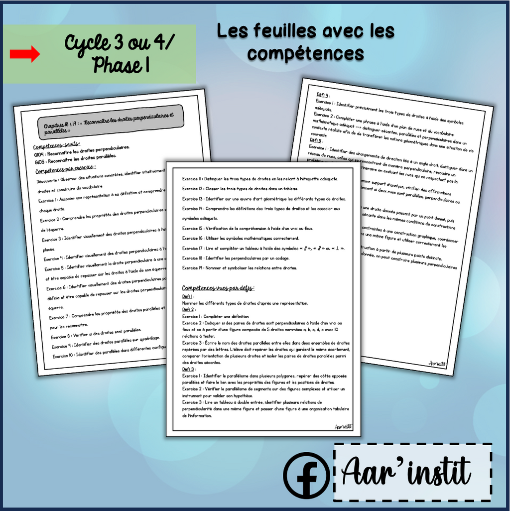 Syllabus phase 1 - Chapitres 18 & 19 - Les différents types de droites