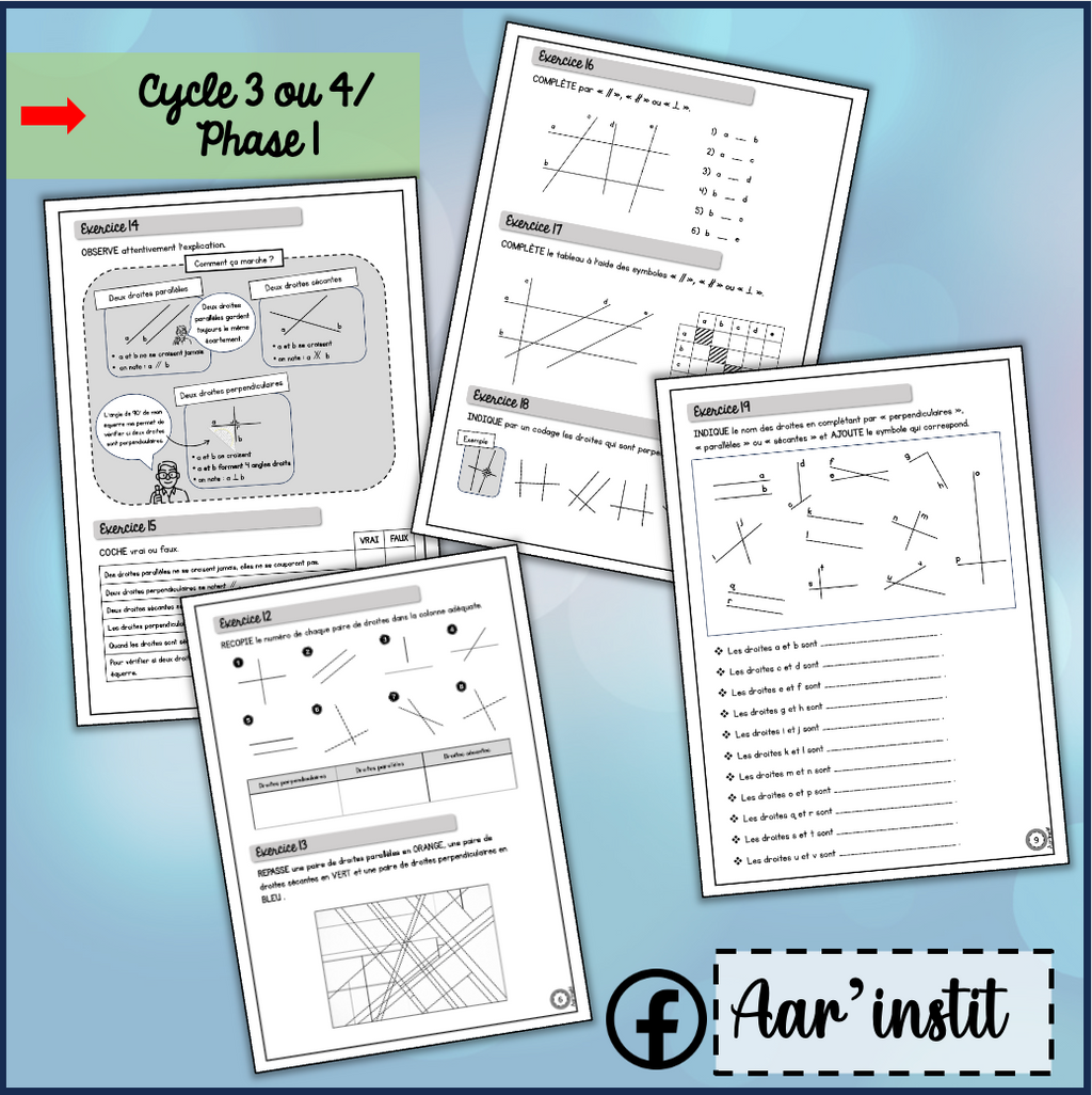 Syllabus phase 1 - Chapitres 18 & 19 - Les différents types de droites