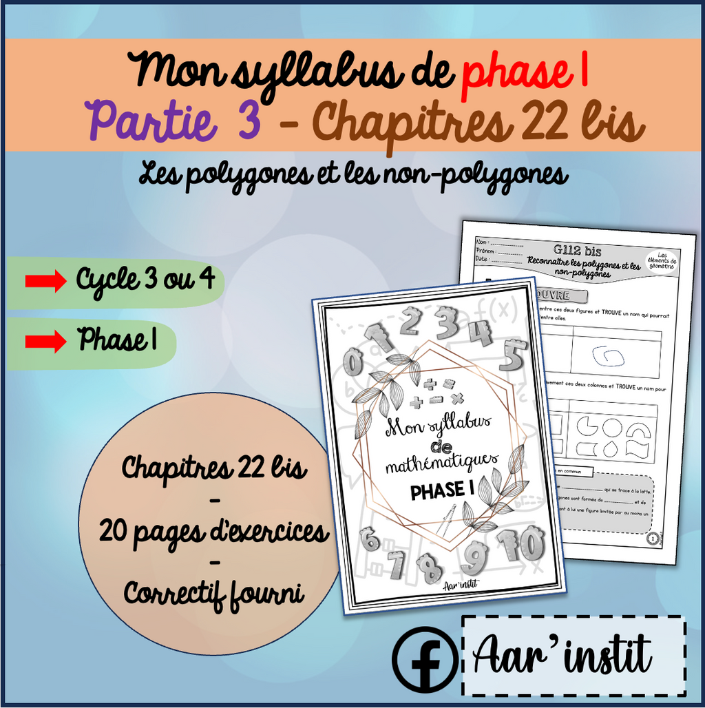Syllabus phase 1 - Chapitre 22 bis - Les polygones et non-polygones