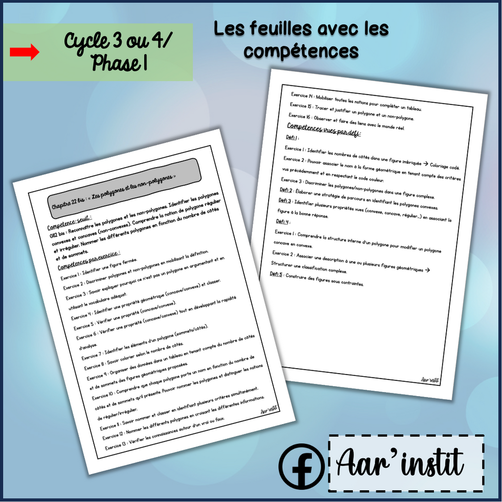 Syllabus phase 1 - Chapitre 22 bis - Les polygones et non-polygones